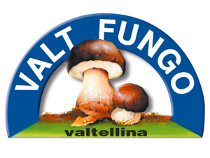 Valtfungo