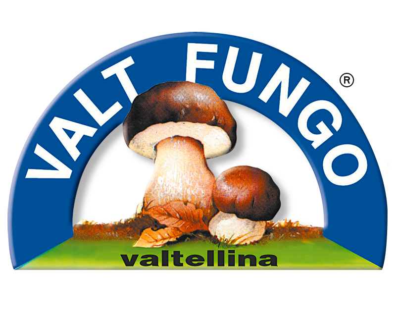 VALT FUNGO